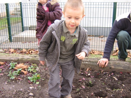 Les Premi Res Plantations Web Coles Circonscription De Grenoble